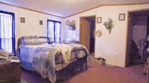 4045 East Shore Dr, Stanton, MI 48888 photo 23