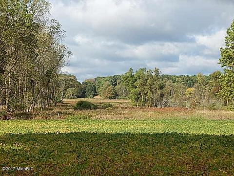 10888 Spring Arbor Rd, Spring Arbor, MI 49283 photo 17