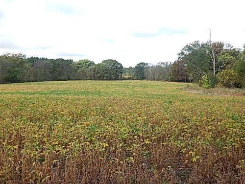 10888 Spring Arbor Rd, Spring Arbor, MI 49283 photo 11