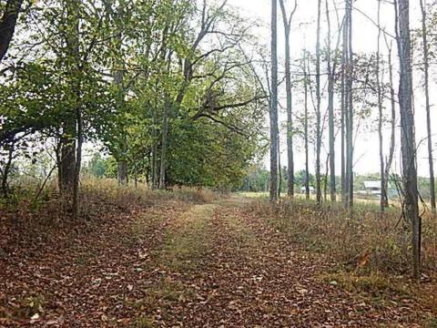 10888 Spring Arbor Rd, Spring Arbor, MI 49283 photo 13