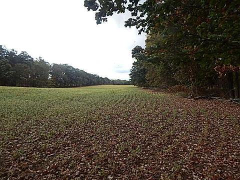 10888 Spring Arbor Rd, Spring Arbor, MI 49283 photo 19
