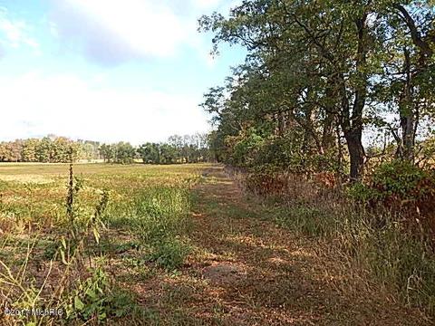 10888 Spring Arbor Rd, Spring Arbor, MI 49283 photo 8