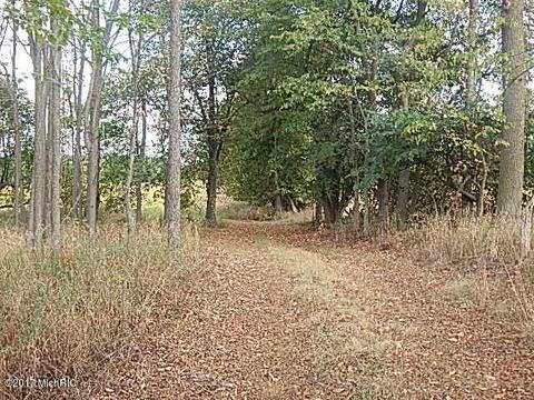 10888 Spring Arbor Rd, Spring Arbor, MI 49283 photo 12