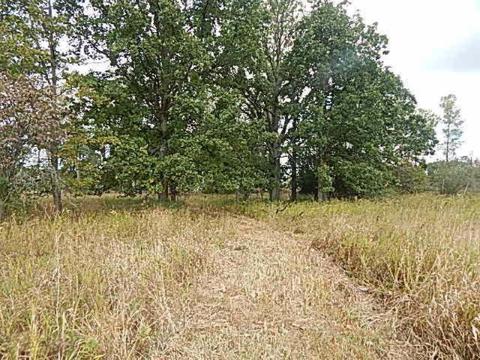 10888 Spring Arbor Rd, Spring Arbor, MI 49283 photo 20