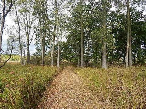 10888 Spring Arbor Rd, Spring Arbor, MI 49283 photo 21