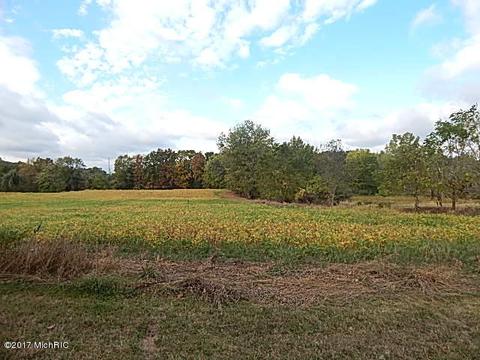 10888 Spring Arbor Rd, Spring Arbor, MI 49283 photo 4