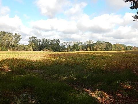 10888 Spring Arbor Rd, Spring Arbor, MI 49283 photo 14