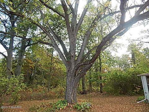 10888 Spring Arbor Rd, Spring Arbor, MI 49283 photo 2