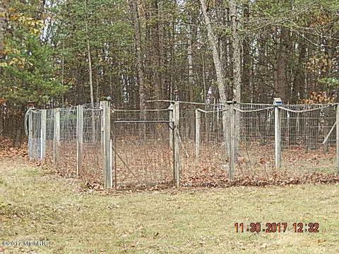 2543 E 82nd St, Newaygo, MI 49337 photo 16
