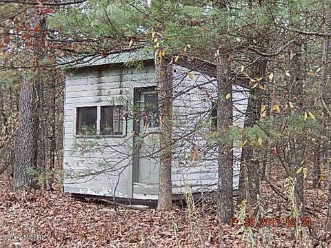 2543 E 82nd St, Newaygo, MI 49337 photo 18