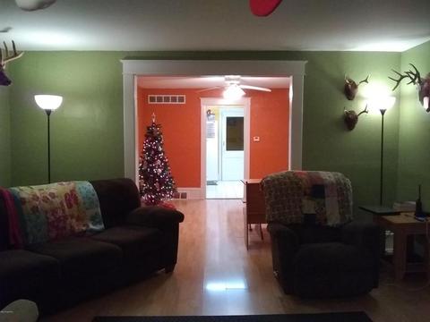 330 S 2nd St, Edmore, MI 48829 photo 7