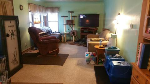 306 N Jeffery Ave, Ithaca, MI 48847 photo 10
