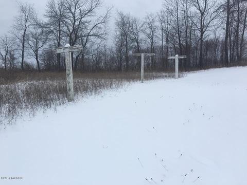 7051 40th Ave, Sears, MI 49679 photo 12