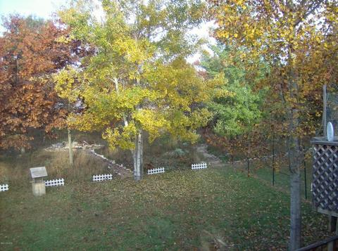 1885 Draper Dr, Stanton, MI 48888 photo 30