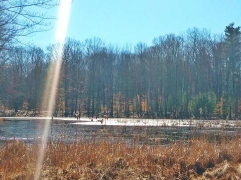 922 E 2 Mile Rd, White Cloud, MI 49349 photo 45