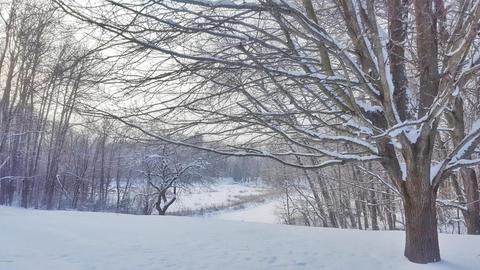 922 E 2 Mile Rd, White Cloud, MI 49349 photo 16