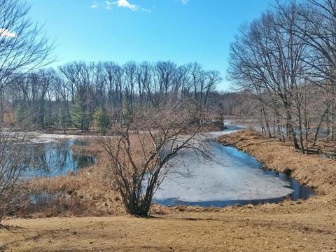 922 E 2 Mile Rd, White Cloud, MI 49349 photo 46