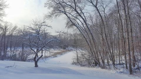 922 E 2 Mile Rd, White Cloud, MI 49349 photo 17