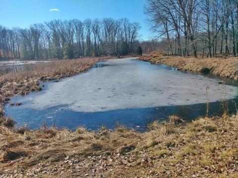 922 E 2 Mile Rd, White Cloud, MI 49349 photo 43