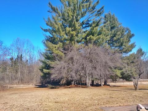 922 E 2 Mile Rd, White Cloud, MI 49349 photo 50