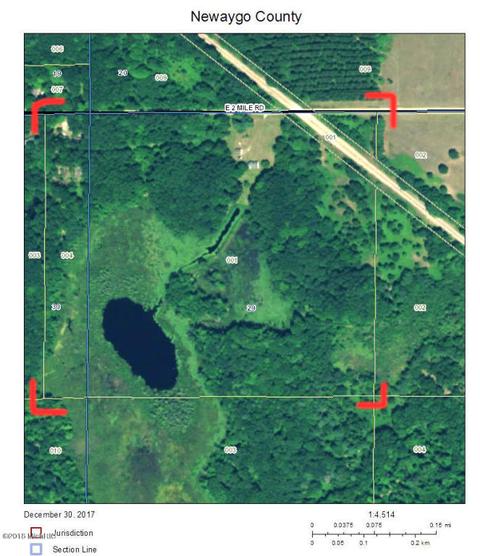 922 E 2 Mile Rd, White Cloud, MI 49349 photo 10