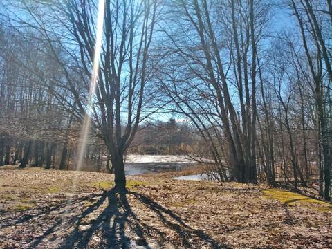 922 E 2 Mile Rd, White Cloud, MI 49349 photo 40