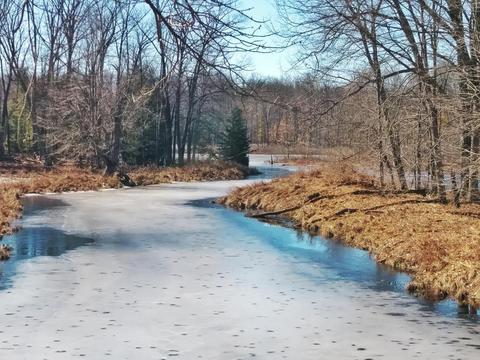 922 E 2 Mile Rd, White Cloud, MI 49349 photo 3