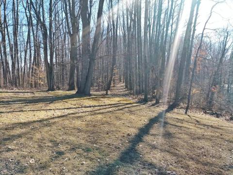 922 E 2 Mile Rd, White Cloud, MI 49349 photo 41