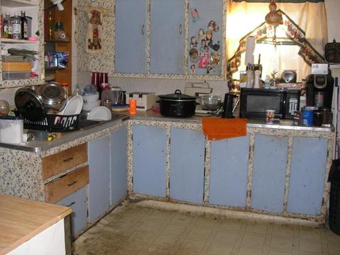 160 Birch St, Constantine, MI 49042 photo 4