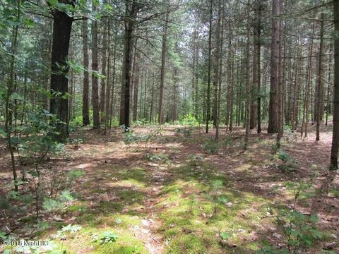 14841 30th Ave, Remus, MI 49340 photo 15