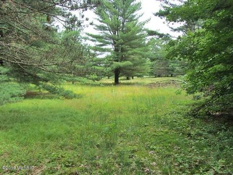 14841 30th Ave, Remus, MI 49340 photo 24