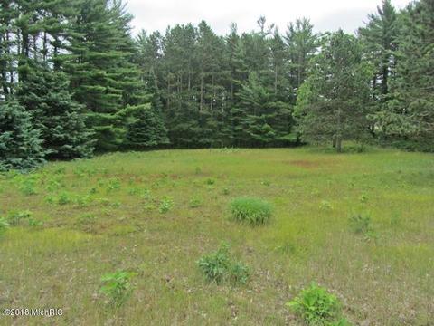 14841 30th Ave, Remus, MI 49340 photo 17