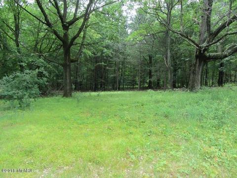 14841 30th Ave, Remus, MI 49340 photo 21