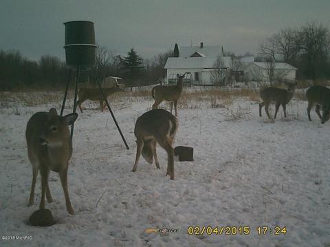 7123 E Pakes Rd, Crystal, MI 48818 photo 51