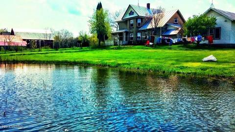 7123 E Pakes Rd, Crystal, MI 48818 photo 61