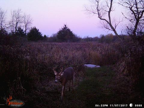 7123 E Pakes Rd, Crystal, MI 48818 photo 55