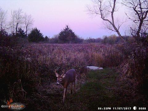 7123 E Pakes Rd, Crystal, MI 48818 photo 50