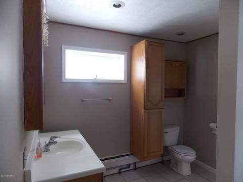 204 S Second St, Edmore, MI 48829 photo 15