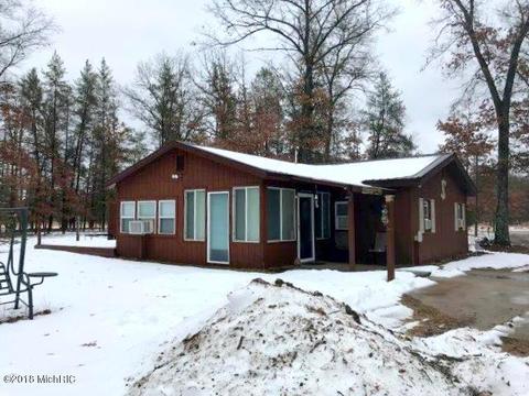 9237 S Forman Rd, Baldwin, MI 49304 photo 5