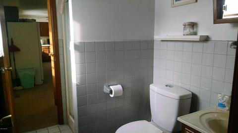 10236 Kimball Rd, Crystal, MI 48818 photo 9