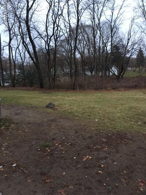 420 E Hughes St, Marshall, MI 49068 photo 24