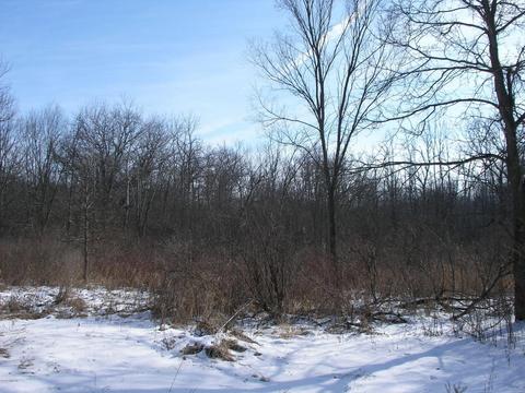 53191 Bent Rd, Marcellus, MI 49067 photo 20