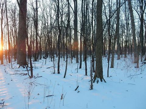 1561 James Rd, Lyons, MI 48851 photo 46
