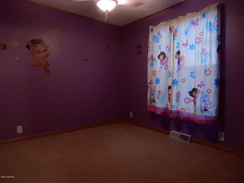 1561 James Rd, Lyons, MI 48851 photo 21