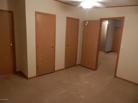 1561 James Rd, Lyons, MI 48851 photo 18