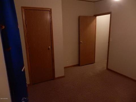 1561 James Rd, Lyons, MI 48851 photo 24