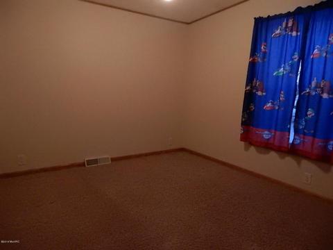 1561 James Rd, Lyons, MI 48851 photo 23
