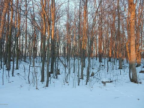 1561 James Rd, Lyons, MI 48851 photo 47