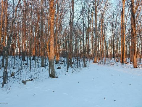 1561 James Rd, Lyons, MI 48851 photo 39