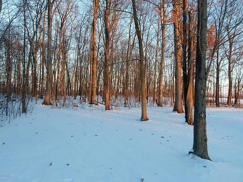 1561 James Rd, Lyons, MI 48851 photo 37
